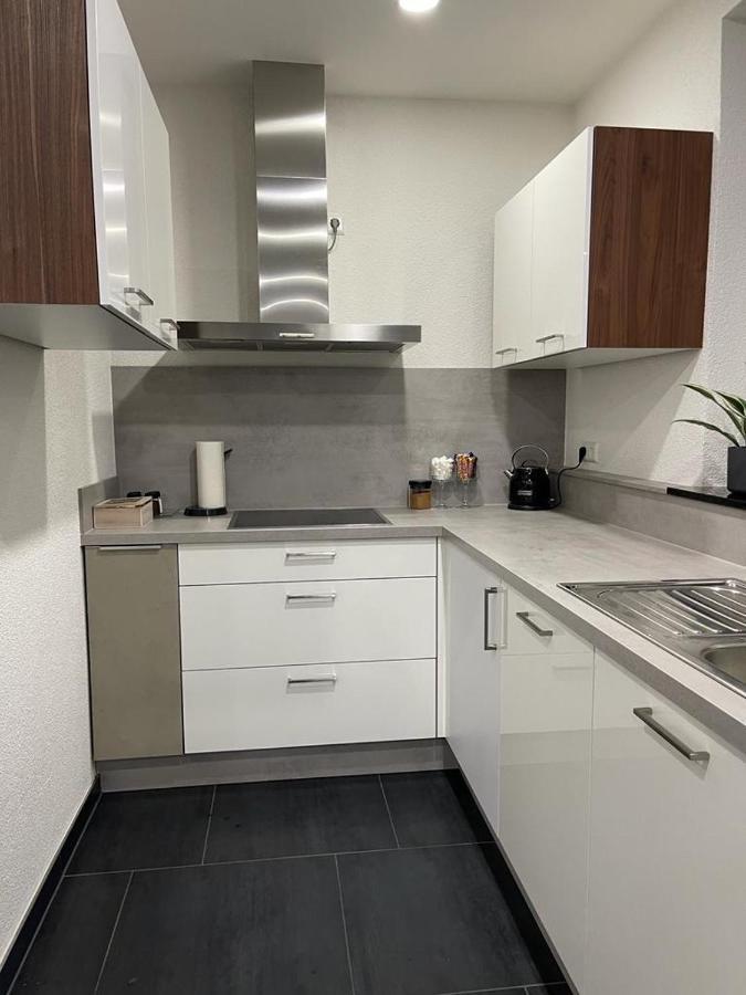 2 Zimmer Wohnung Zur Taegliche Miete Хехинген Экстерьер фото